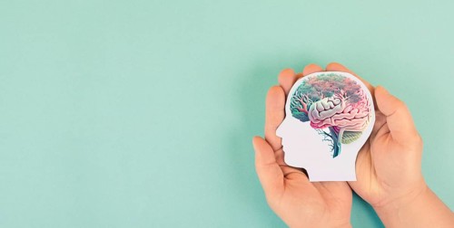 Hands holding paper head, human brain with flowers, self care and mental health concept, positive