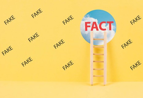 Ladder to the hole in the wall with the word fact, surrounded by fake news, propaganda and