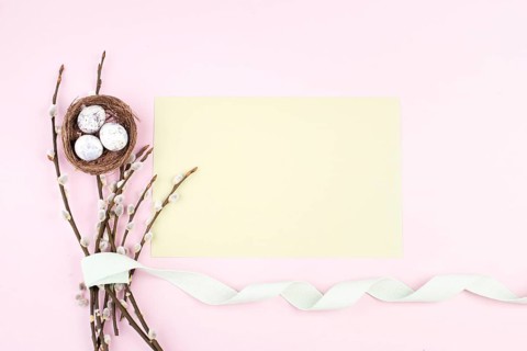Easter holiday background, wicker nest with small eggs, branches of pussy willow, pastel color,