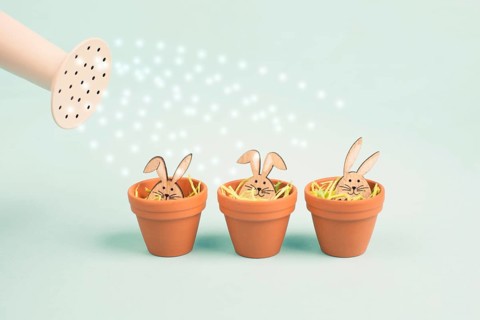 Watering cute easter bunny or rabbit baby in a flower pot, spring holiday greeting card