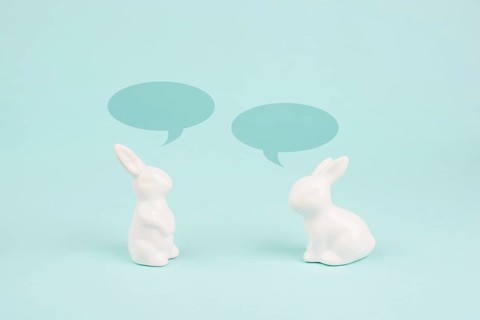 Easter bunny talking together, rabbits have a conversation, spring holiday greeting card with