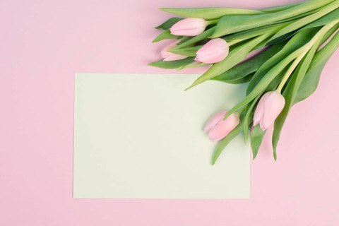 Tulips greeting card for birthday, easter holiday, valentines day, mothers day, spring season,