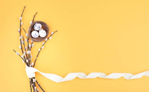 Easter holiday background, wicker nest with small eggs, branches of pussy willow, yellow color,