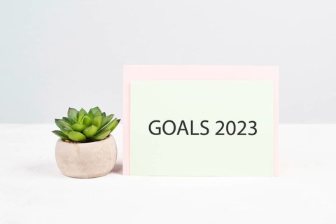 Goals 20223, new year resolution, making plan for the future, business and education concept,