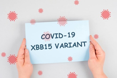Covid-19, omicron variant XBB15 outbreak, virus infection, pandemic