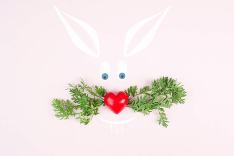 Easter bunny face, heart shaped nose, whiskers from carrot leaves, holiday greeting card, spring