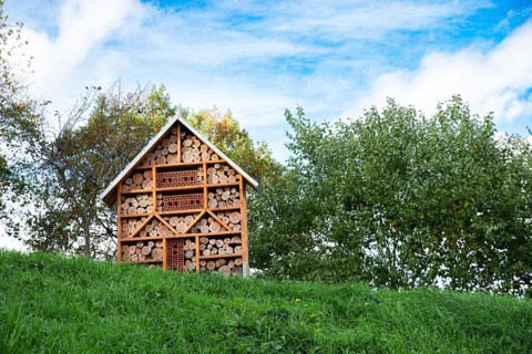 Wooden insect hotel, habitat for bugs and bees, rescue house, environment and ecology conversation,