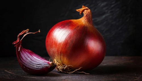 Vegetables, onion, Allium cepa, single ripe onion and a piece of shallot bulb, still life in