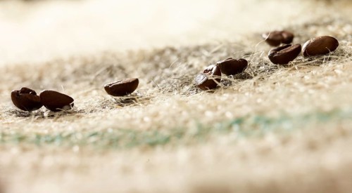 Coffee beans on coffee sack, close-up