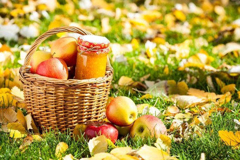 Jam in glass jar and basket full of fresh juicy apples in autumn garden