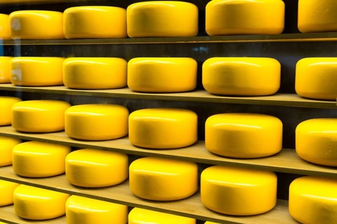 Round cheese heads in a shop window