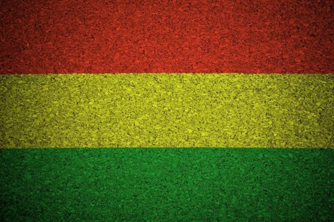The Bolivian flag painted on a cork board