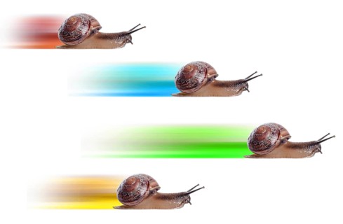 Concept. fast snail with colored silhouette. Isolated on white