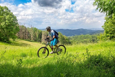 Mountain biking in the Odenwald with a view of the Rhine plain, here on the Birkenau circular route