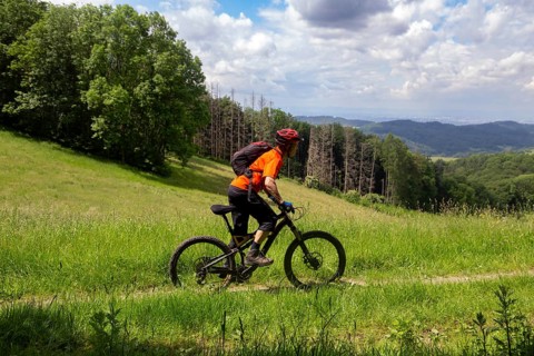 Mountain biking in the Odenwald with a view of the Rhine plain, here on the Birkenau circular route