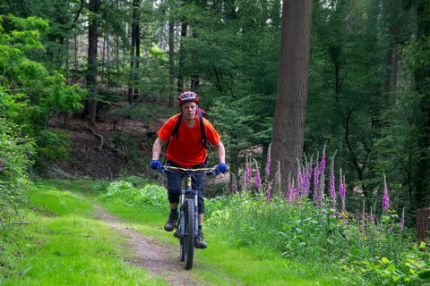 Mountain biking in the Odenwald, here on the Birkenau circuit in the Bergstrasse-Odenwald