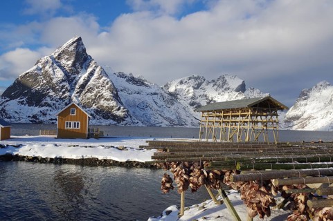 Winter landscape with snow-covered mountains, by a fjord and wooden buildings, racks for drying