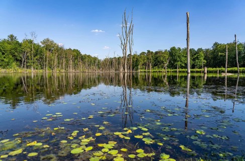 The Pfingstsee in the Kirchheller Heide, near the Heidhof, in the nature reserve Kirchheller Heide,