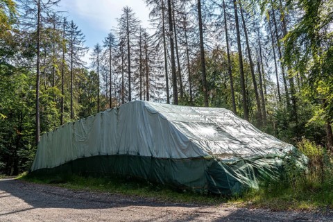 Trees are wrapped in foil, experiment by the Arnsberg Forest Training and Experimental Forestry