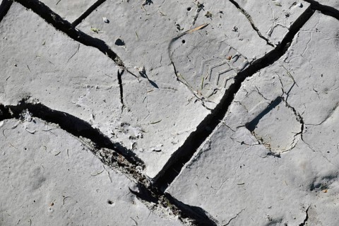 Farmer's bootprint in dried and cracked mudpan