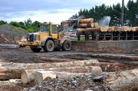 A timber loader places Pinus radiata logs at the feed-in area of a sawmill