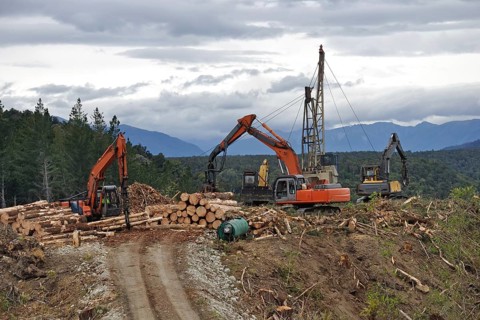A timber hauler drags Pinus radiata logs to a loading site at a forestry block in Westland