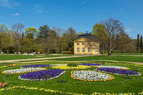Dresden
