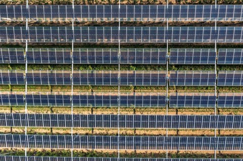 Agri-photovoltaic test plant, an apple orchard with two different systems of PV modules was roofed