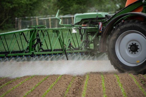 Agriculture, pesticide being sprayed on a field, sugar beet seedlings, North Rhine-Westphalia,