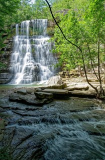 The Cascata dell'Alferello, the waterfall of the Alferello stream, in the Foreste Casentinesi