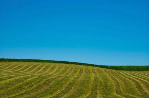 Agriculture, field, harvested, cut, structure, maize field, sky, Wental, Barholomä, Swabian Alb,