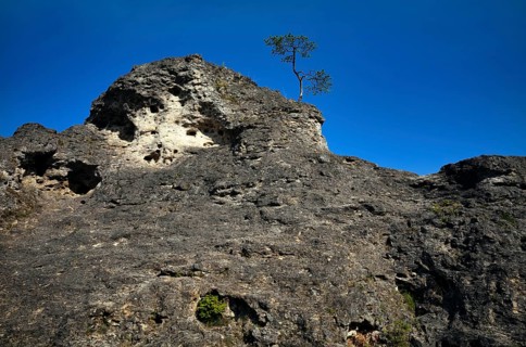Dolomite rocks, sea of rocks, Wental, Barholomä, Swabian Alb, Baden-Württemberg, Germany, Europe