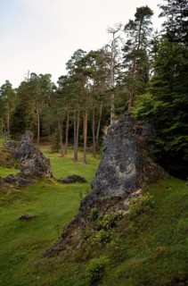 Dolomite rocks, sea of rocks, Wental, Barholomä, Swabian Alb, Baden-Württemberg, Germany, Europe