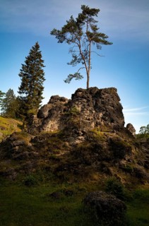 Dolomite rocks, sea of rocks, Wental, Barholomä, Swabian Alb, Baden-Württemberg, Germany, Europe