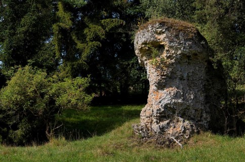 Dolomite rocks, sea of rocks, Wental, Barholomä, Swabian Alb, Baden-Württemberg, Germany, Europe