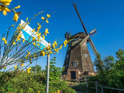 Windmill in Benz, a stop on the Feininger bicycle tour, island Usedom, Mecklenburg, Germany, Europe