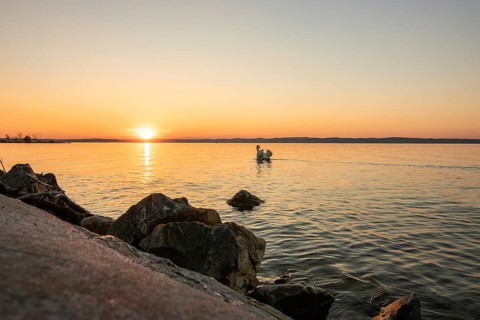 Sunset on the shore of a lake in summer. Colourful sky with a wide view of the horizon. Natural