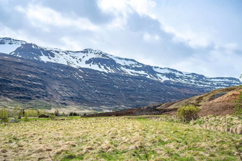 Snow mountain range at Seydisfjordur, Iceland with meadow in front