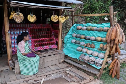 A khasi woman vendor selling home grown vegetables in her roadside stall, in Nongpoh, Meghalaya,