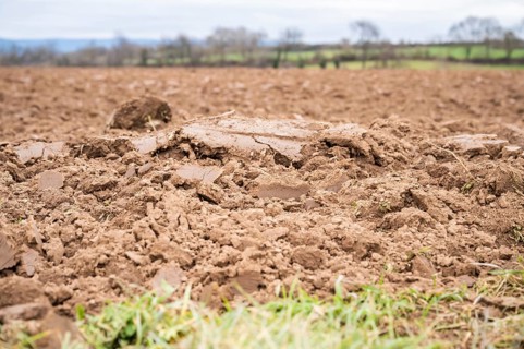 Topsoil brown soil on an agricultural field view from low angle, focus on foreground during cloudy