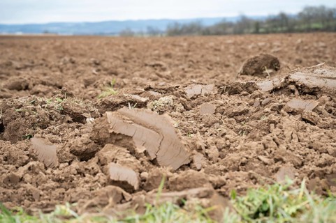 Topsoil brown soil on an agricultural field view from low angle, focus on foreground during cloudy