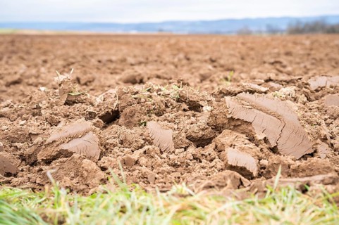 Topsoil brown soil on an agricultural field view from low angle, focus on foreground during cloudy