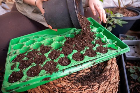 Woman sitting on the balcony and filling soil in a green cultivation form from a black pot, no