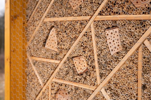 Close-up of a bee Hotel, environmental Protection, save insects made of yellow colored wood