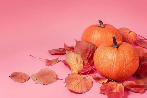 Two orange pumpkins and colorful autumn leaves on pink background with copy space. Generative Ai,