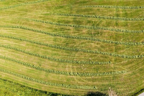 Drone shot of drying hay on a field, Allgäu, Bavaria, Germany, Europe