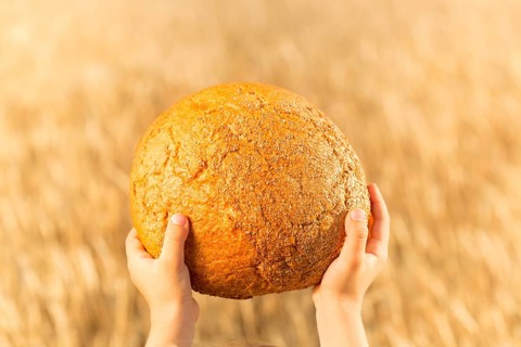 Homemade bread in hands against wheat autumn field background