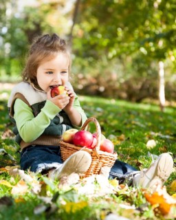 Child eating red apple in autumn park