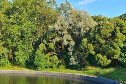 Arboretum and large city pond in Zelenograd in Moscow, Russia, Europe