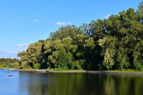 Arboretum and large city pond in Zelenograd in Moscow, Russia, Europe